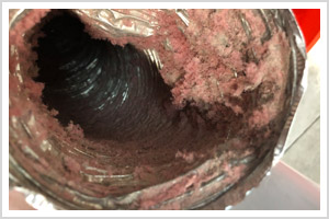 home dryer vent cleaning