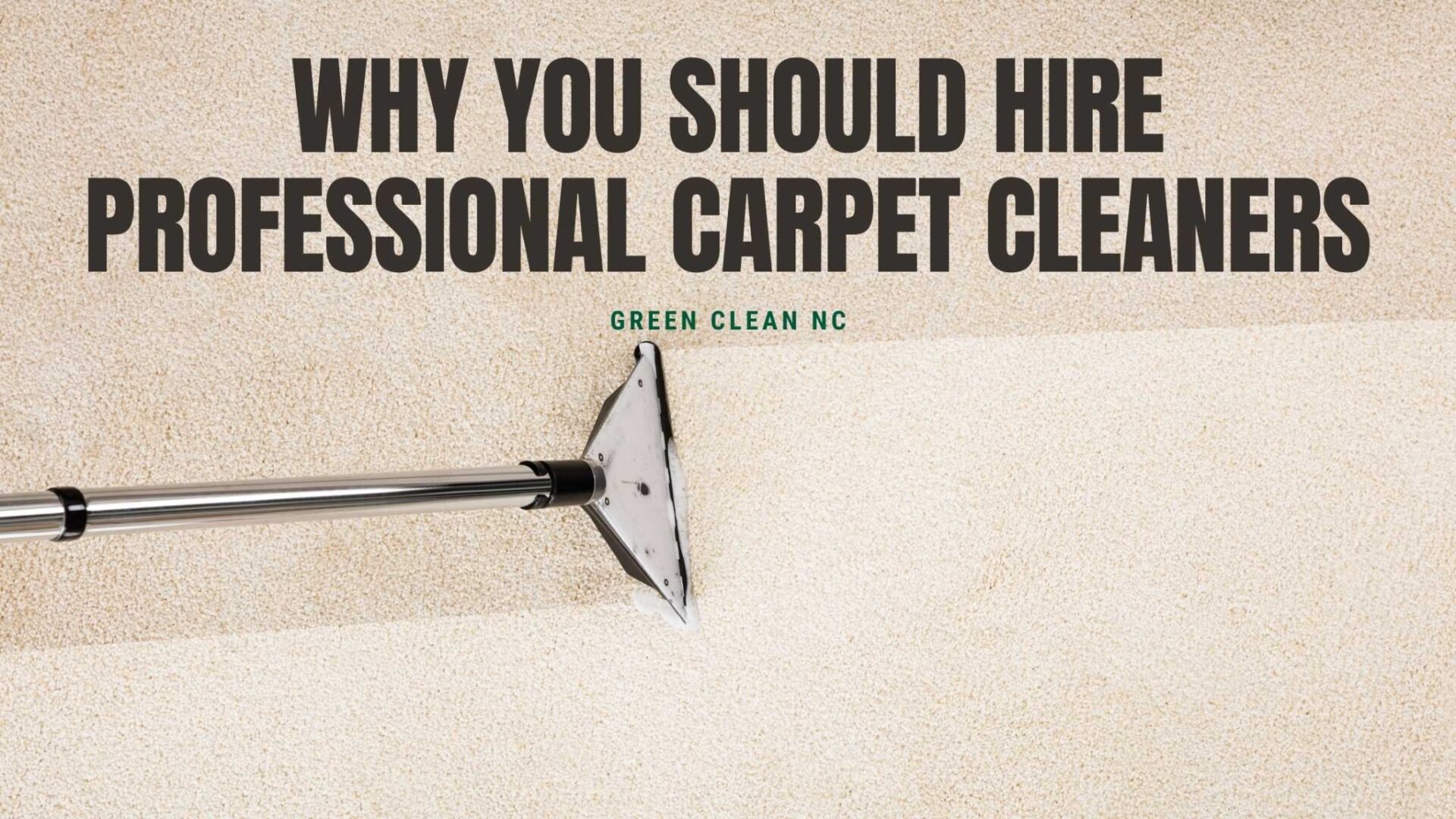 Why You Should Hire Professional Carpet Cleaners