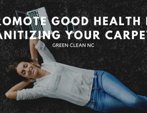 Promote Good Health by Sanitizing Your Carpets