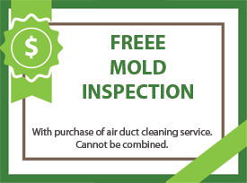 Free Mold Inspection Coupon
